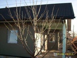 faze gradnje Prefabricated houses u Sloveniji